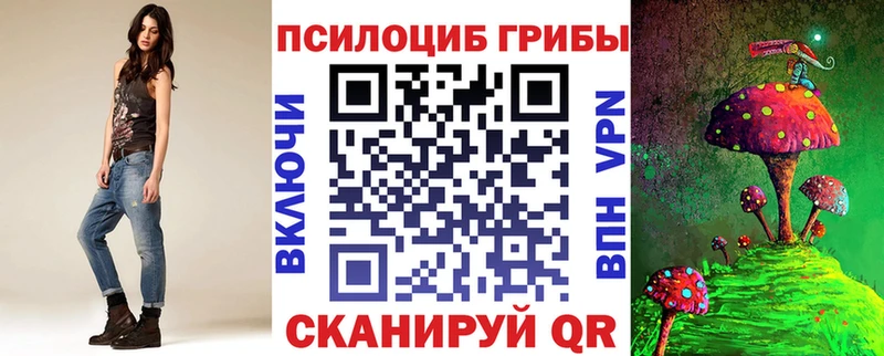 Галлюциногенные грибы Magic Shrooms  закладки  Владивосток 
