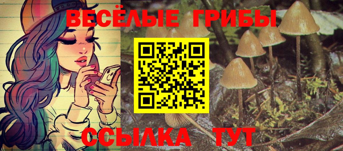 Псилоцибиновые грибы ЛСД  Псилоцибиновые грибы мицелий  продажа наркотиков  Вход с VPN  Владивосток 